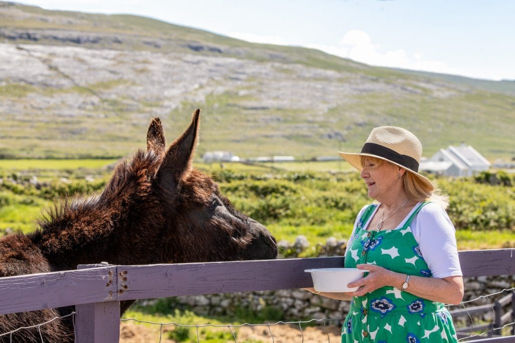 Kathleen Bond, Fáilte Ireland certified National Tour Guide